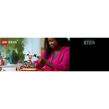 LEGO Ideas - Die Entstehung von MINT 18+(21355)