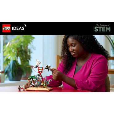 LEGO Ideas - Die Entstehung von MINT 18+(21355)