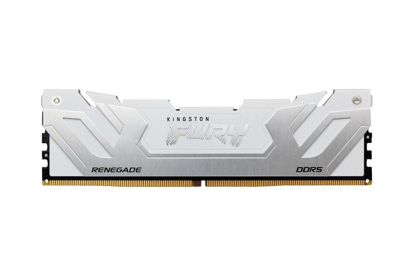 Kingston Technology Fury 24 Gb 8000 Mt/s Ddr5 Cl38 Dimm Renegade Hvid