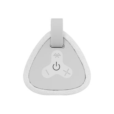 TechniSat BluSpeaker TWS