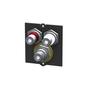 Bachmann Modul 1x Video + Cinch Stereo BVM-1 - planskiva