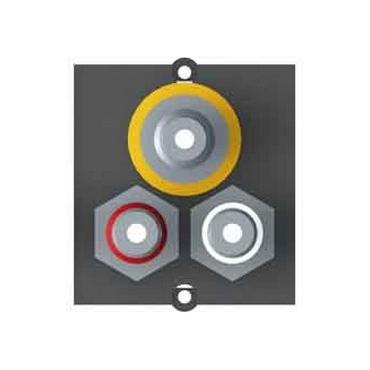 Bachmann Modul 1x Video + Cinch Stereo BVM-1 - planskiva