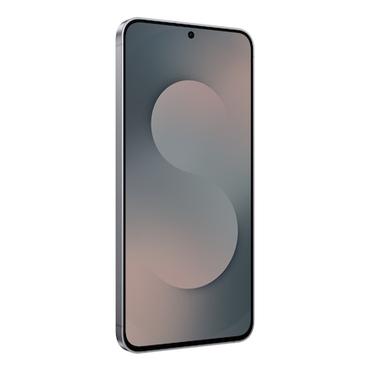Samsung Galaxy S25 FE Enterprise Edition 17 cm (6.7") Dual SIM Android 16.0 5G USB Type-C 8 GB 128 GB 4900 mAh Sort