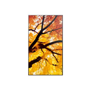 Sharp MultiSync M322 Digital fladpaneldisplay 81,3 cm (32") LCD 550 cd/m&sup2; Fuld HD Sort