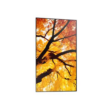 Sharp MultiSync M322 Digital fladpaneldisplay 81,3 cm (32") LCD 550 cd/m&sup2; Fuld HD Sort