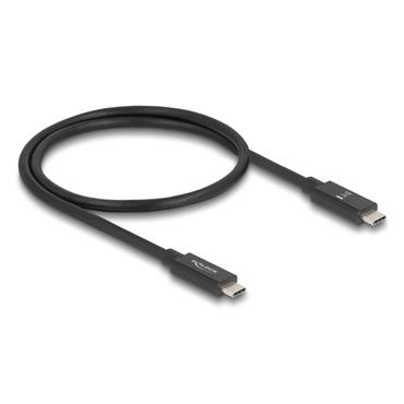 Delock - USB typ C-kabel - 24 pin USB-C till 24 pin USB-C - 50 cm
