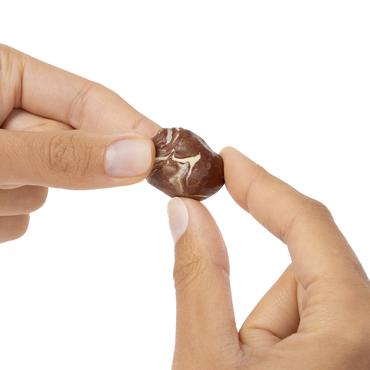 Miniverse Make It Mini From Scratch in PDQ Series 1