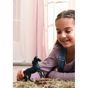 Horse Club Lusitano Hengst