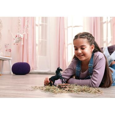 Horse Club Lusitano Hengst