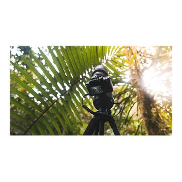 Syrp Genie II Pan Tilt motoriseret stativhoved - trådløs - Bluetooth