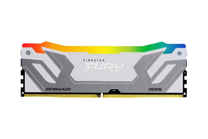 Kingston Technology Fury 24 Gb 8800 Mt/s Ddr5 Cl42 Dimm Renegade Rgb Hvid
