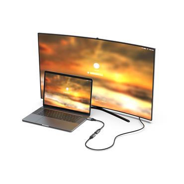 Equip 133445 videokabel adapter 0,15 m DisplayPort HDMI Sort, Gr&aring;