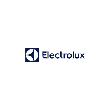 Electrolux EP82AB25UG stav støvsuger & elektrisk kost Stick vakuum Batteri Dry Cyclonisk Poseløs 0,4 L 100 W Grå