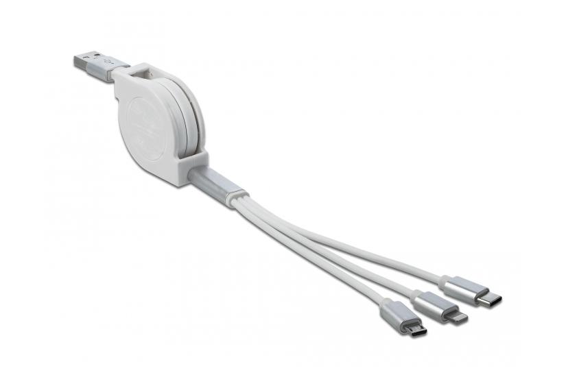 Delock Lightning-kabel - Lightning / USB - 98 cm