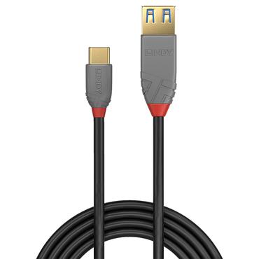 Lindy Black Line - USB typ C-kabel - 24 pin USB-C till USB typ A - 15 cm
