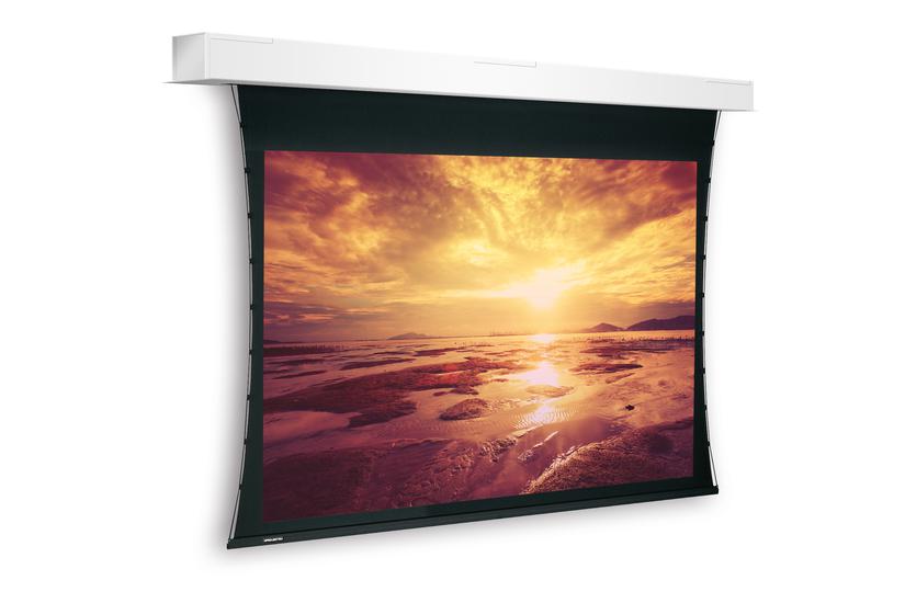 Projecta Screen Surface Assembly Descend