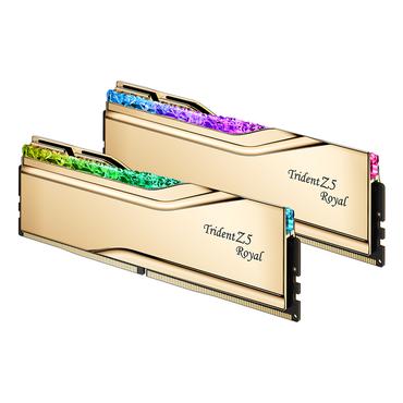 D532GB 6000-28 TZ5 Royal Gold gd GSK (F5-6000J2836G16GX2-TR5G)