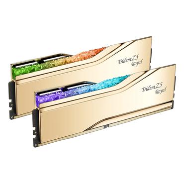 D532GB 6000-28 TZ5 Royal Gold gd GSK (F5-6000J2836G16GX2-TR5G)