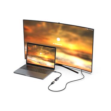 Equip 133493 videokabel adapter 0,15 m USB Type-C DisplayPort Sort, Gr&aring;