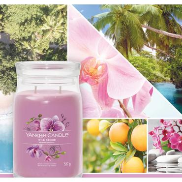 Yankee Candle Wild Orchid vokslys Cylinder Orkide Lilla 1 stk