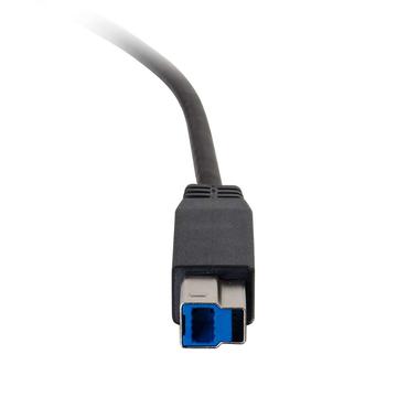 10ft USB M C TO B M 3.2 GEN1 3M