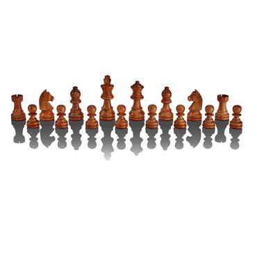 Millennium The King Performance - Schackdator