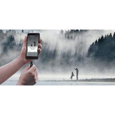 SanDisk Ultra Dual Drive Go - USB flash-enhet - 256 GB