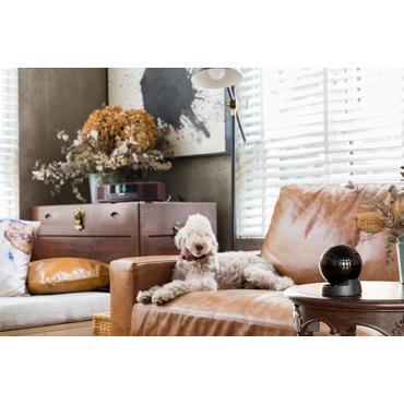 Imou Rex 3D 3K Sfærisk IP-sikkerhedskamera Indendørs 2688 x 1620 pixel Skrivebord