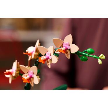 LEGO Botanicals Mini-Orchidee 10343