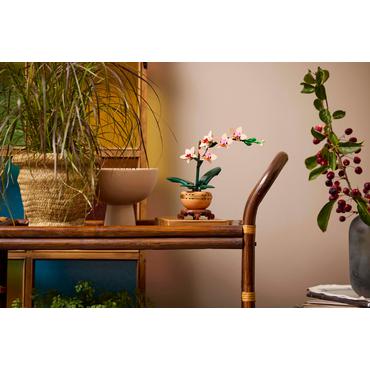 LEGO Botanicals Mini-Orchidee 10343