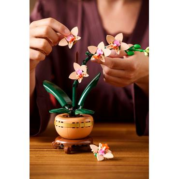 LEGO Botanicals Mini-Orchidee 10343