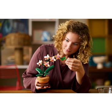 LEGO Botanicals Mini-Orchidee 10343