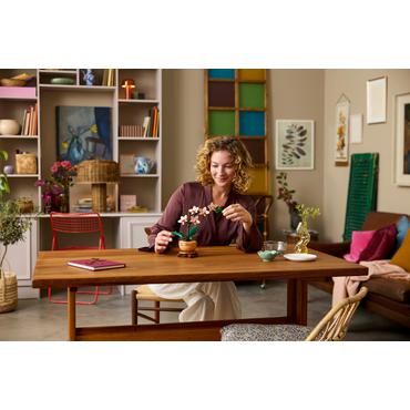 LEGO Botanicals Mini-Orchidee 10343