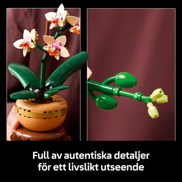 LEGO Botanicals Mini-Orchidee 10343