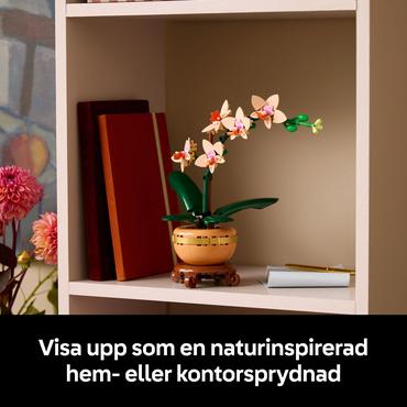 LEGO Botanicals Mini-Orchidee 10343