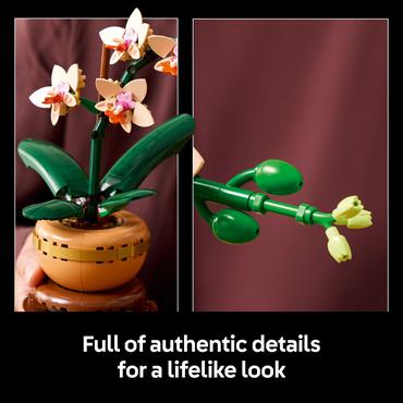 LEGO Botanicals Mini-Orchidee 10343