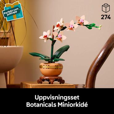 LEGO Botanicals Mini-Orchidee 10343