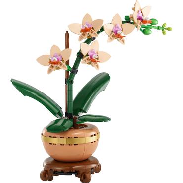 LEGO Botanicals Mini-Orchidee 10343