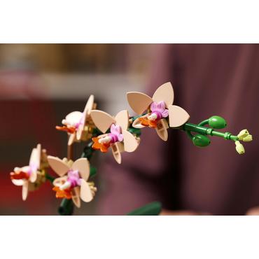 LEGO Botanicals Mini-Orchidee 10343