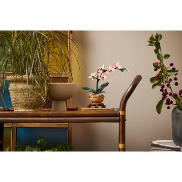 LEGO Botanicals Mini-Orchidee 10343