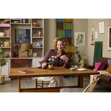 LEGO Botanicals Mini-Orchidee 10343