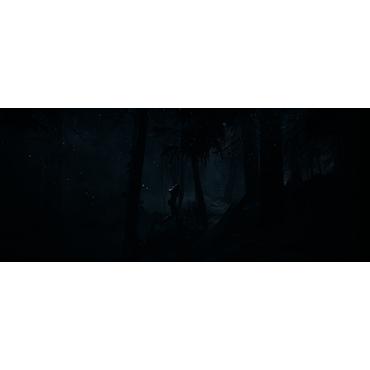 Sony Until Dawn Standard Flersproget PlayStation 5