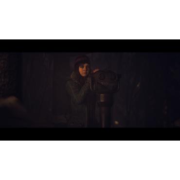 Sony Until Dawn Standard Flersproget PlayStation 5