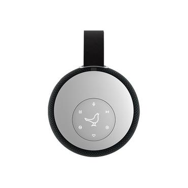 Libratone Zipp Mini 2