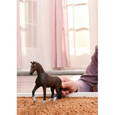 Horse Club Mustang Hengst