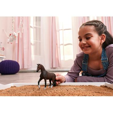 Horse Club Mustang Hengst