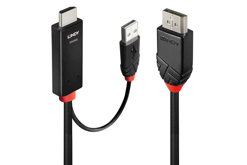 Lindy 41499 videokabel adapter 2 m HDMI + USB Type-A DisplayPort Sort