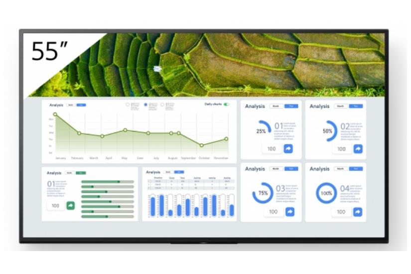 Sony Bravia Professional Displays FW-55BZ30L BZ30L Series - 55" LED-bakgrundsbelyst LCD-skärm - 4K - för digital skyltning
