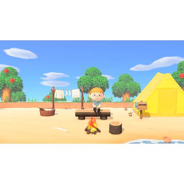 Animal Crossing New Horizons Nintendo Switch