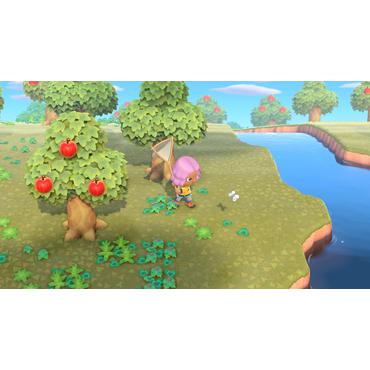 Animal Crossing New Horizons Nintendo Switch